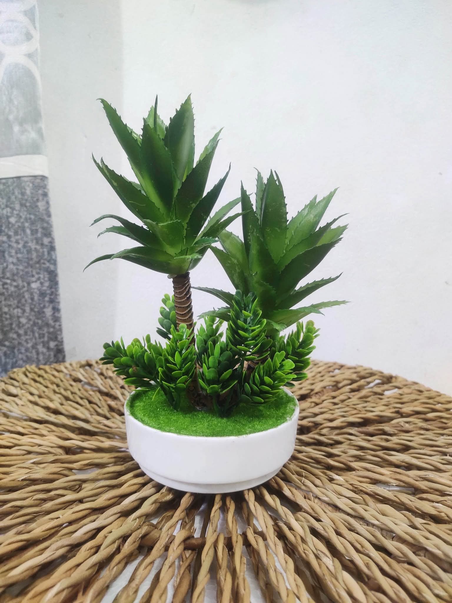 সিরামিক টব - Ceramic Tub