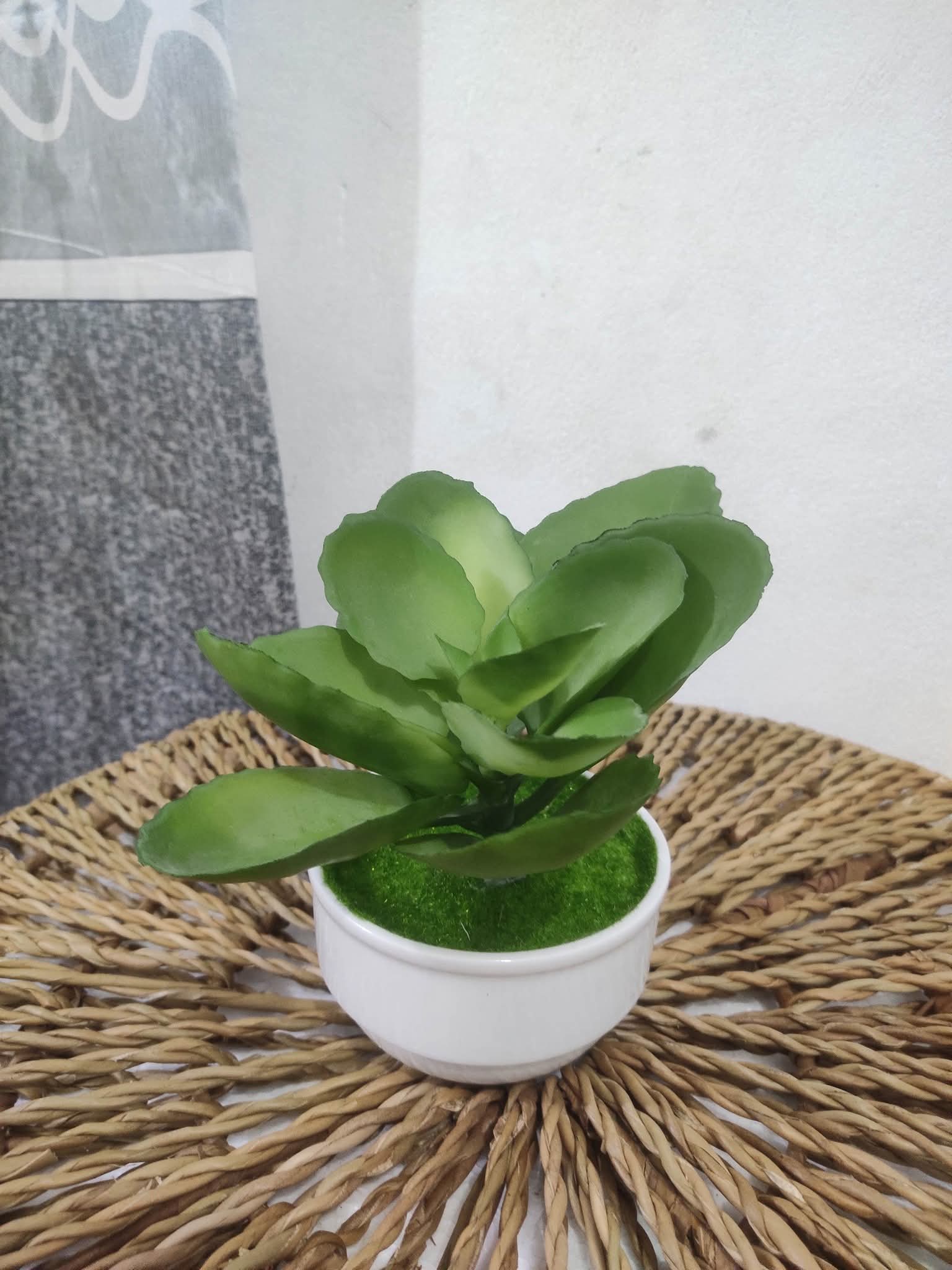 সিরামিক টব - Ceramic Tub