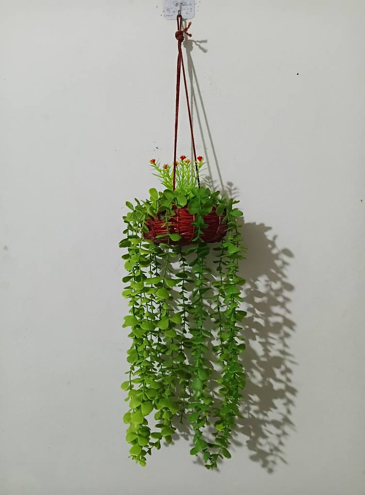 সিকা লতা ঝার- Sika lota Jhar