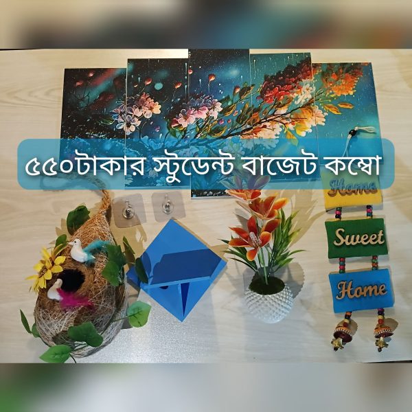 Student budget combo - 550 tk