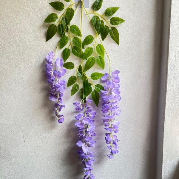 Westeria - purple